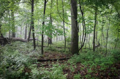 2024_Mohican-MTB-100-107